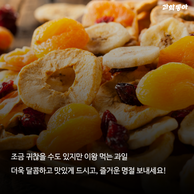 (주)동아사이언스 제공